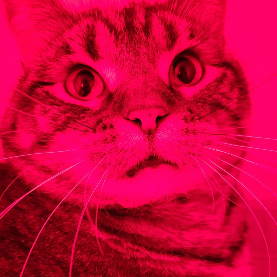 ILO PlugIn Radiant Heating Panel Heating Green